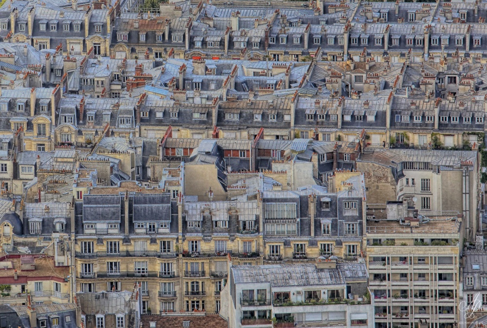 Parisian roofs von Helena Adelmann