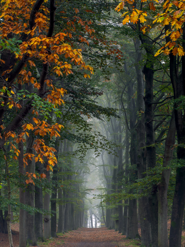 Landgoed Zoomland von Henk Goossens