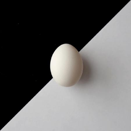 Egg