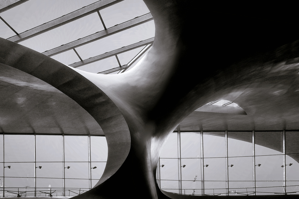 The tree von Henk Van Maastricht