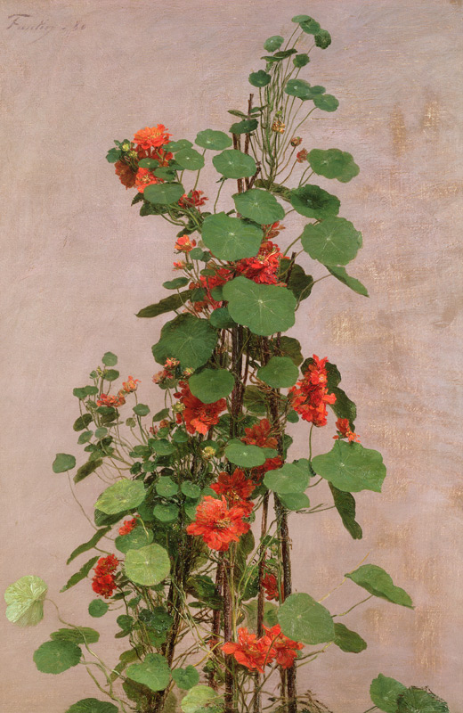 Nasturtiums von Henri Fantin-Latour