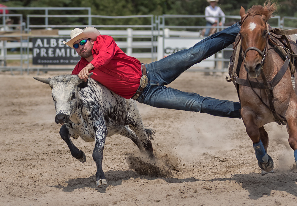 Cowboy von Henry Zhao