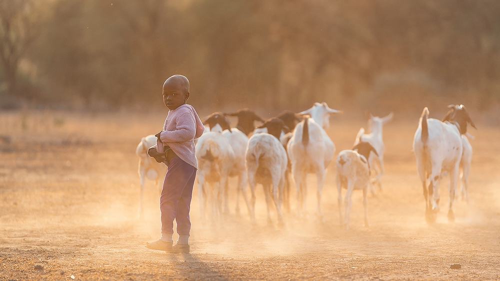 Cowboy von Henry Zhao