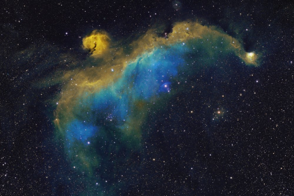 Seagull Nebula von Henry Zhao