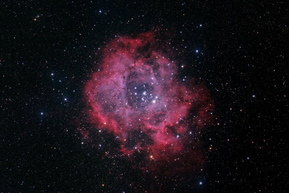 Rosette Nebula von Henry Zhao