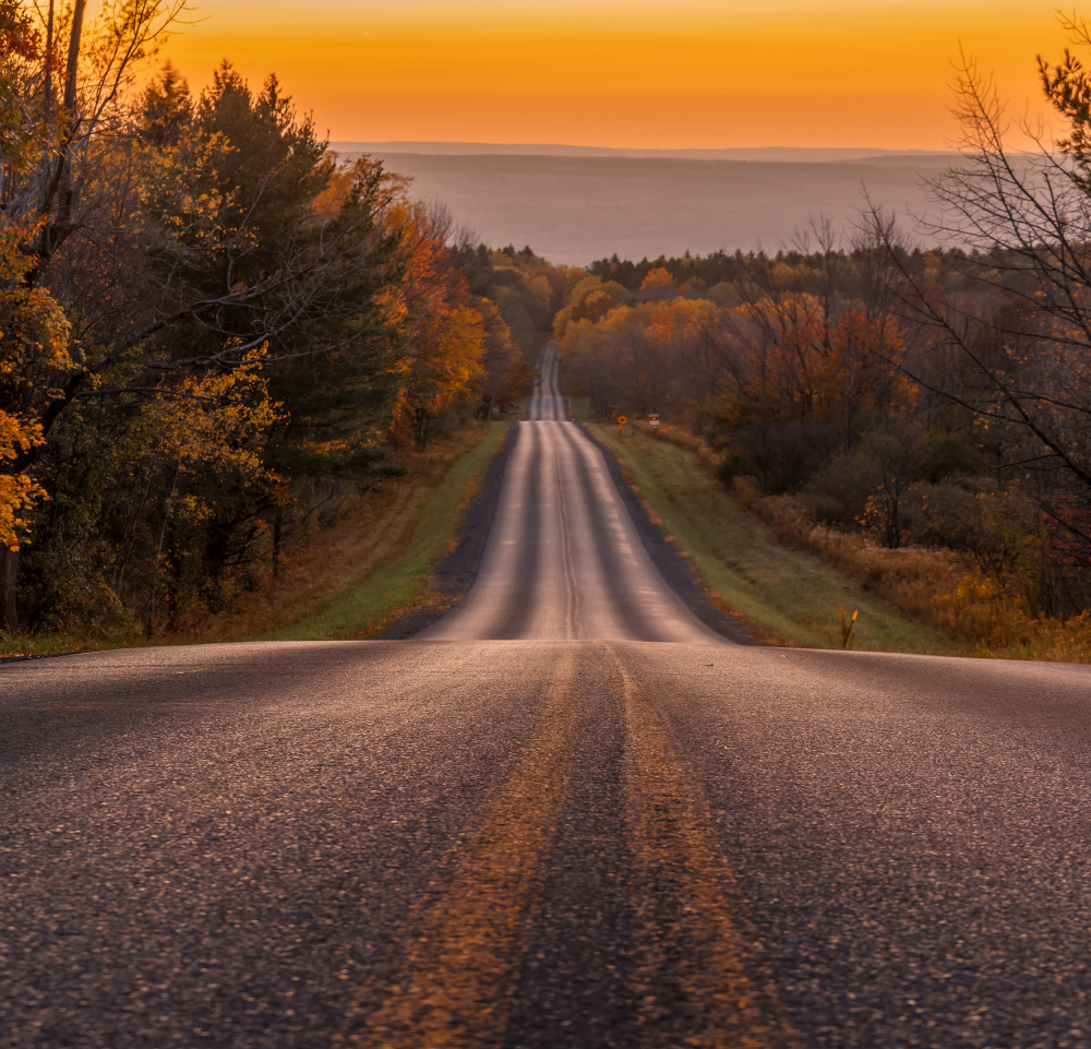 Lone Road von Herbert Rong