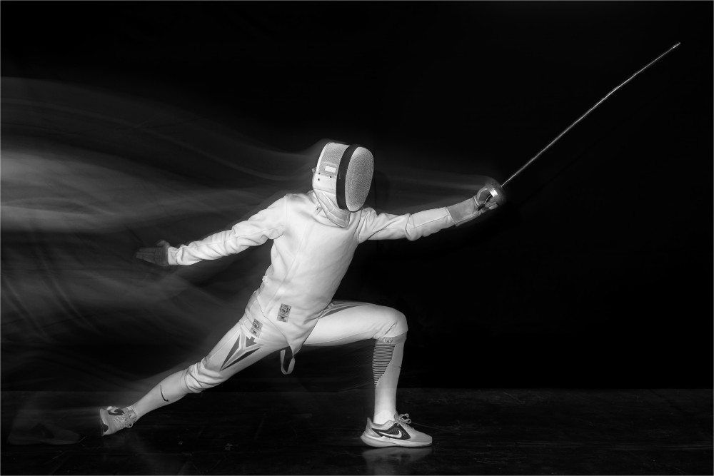 Lone Fencer von Herman van der Walt