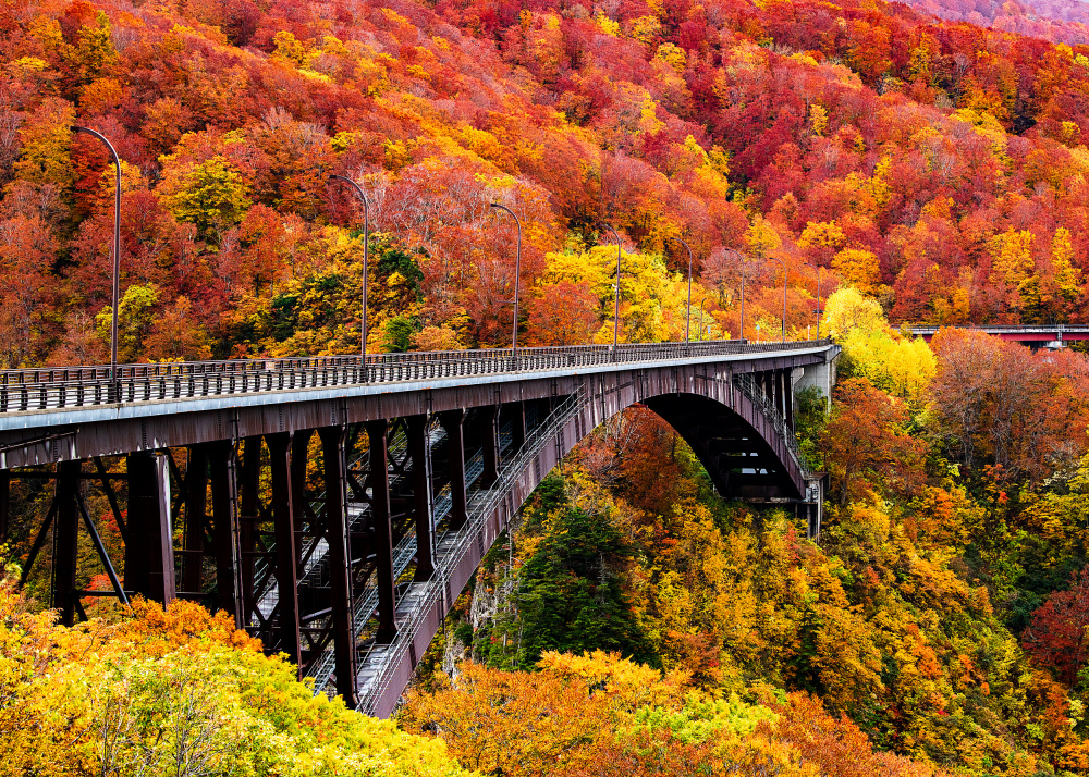 The art arch bridge von Hidenori Sono