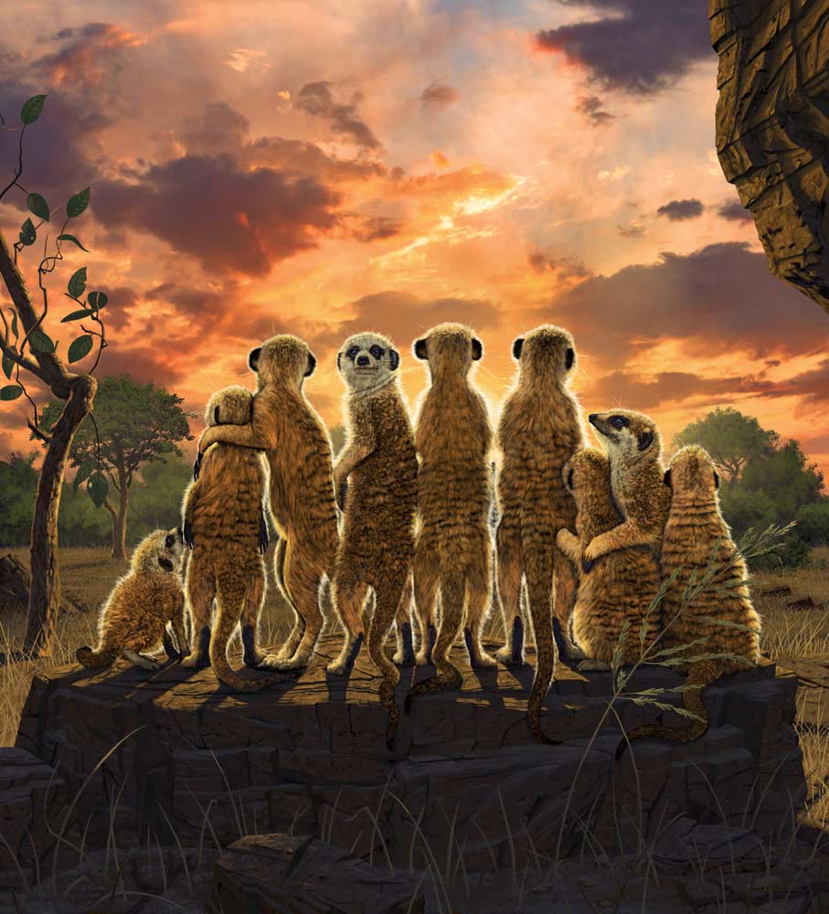 Meerkats von Vincent Hie