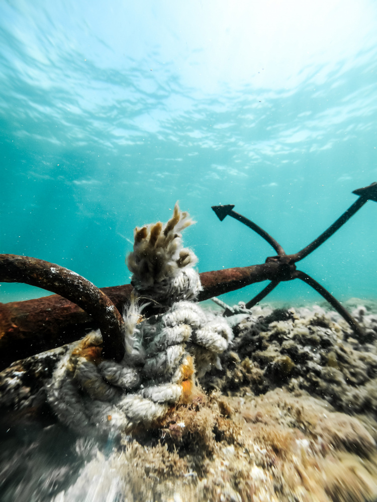 Details of anchor underwater von Hilal safarjalani