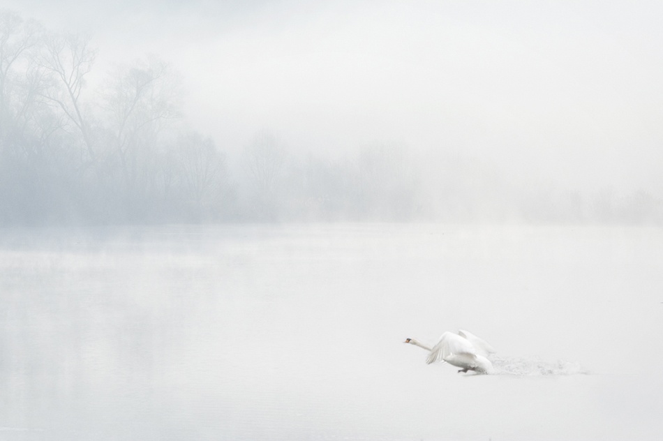 Waking up von Hilde Ghesquiere