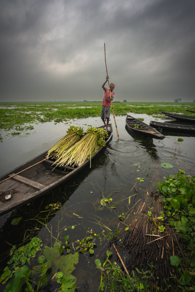 Wetland and boatman von HIRAK BHATTACHARJEE