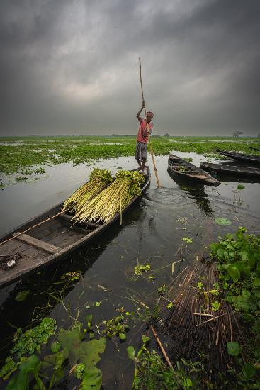 Wetland and boatman