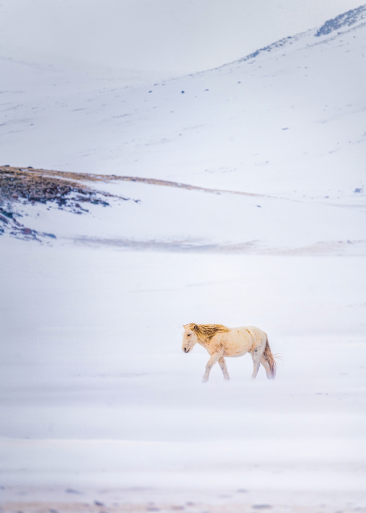 During the snow storm von HIRAK BHATTACHARJEE