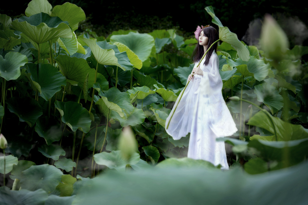 Before flowering von Hiroaki Suemasa