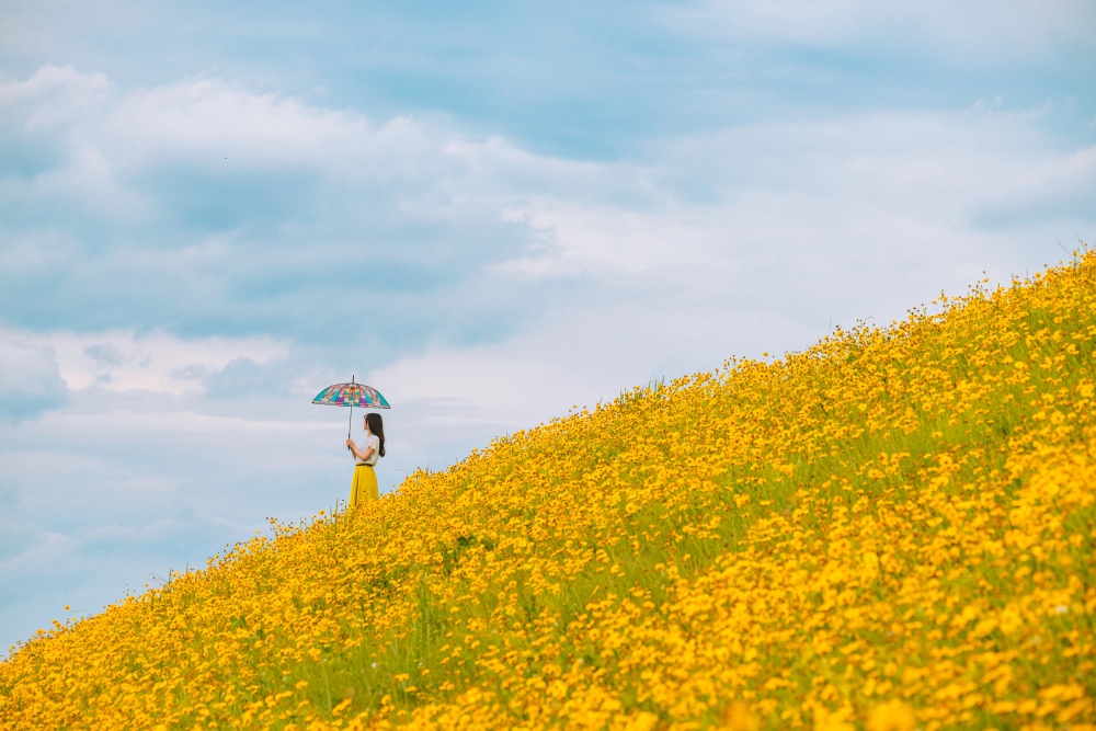 Yellow hills. wait for the rain von Hiroshi Katsuma