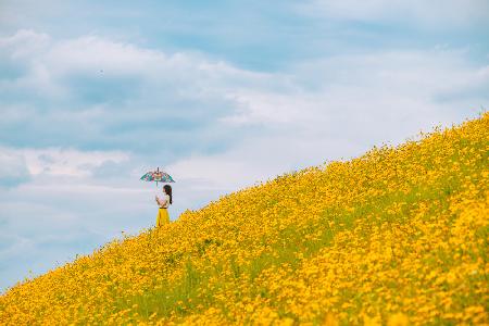 Yellow hills. wait for the rain