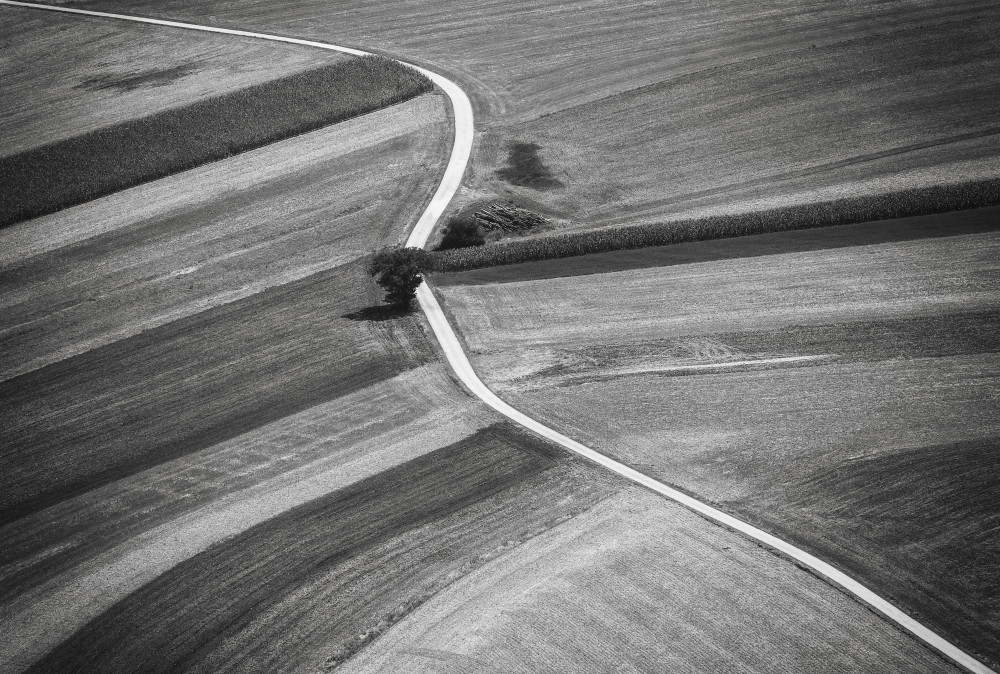 The road von Hober Szabolcs