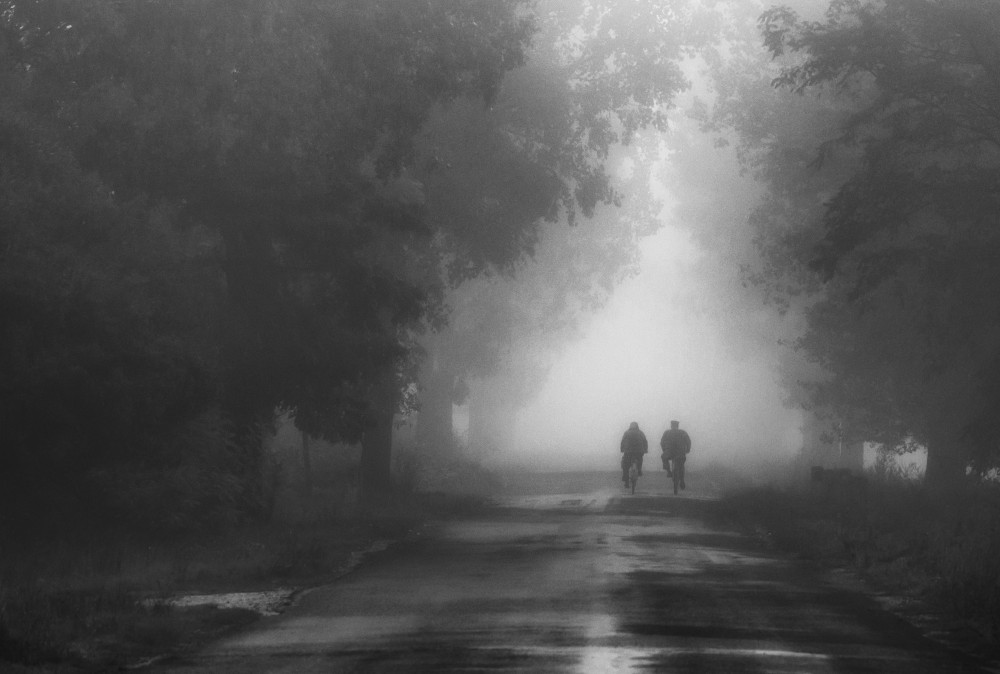 In the fog von Hober Szabolcs