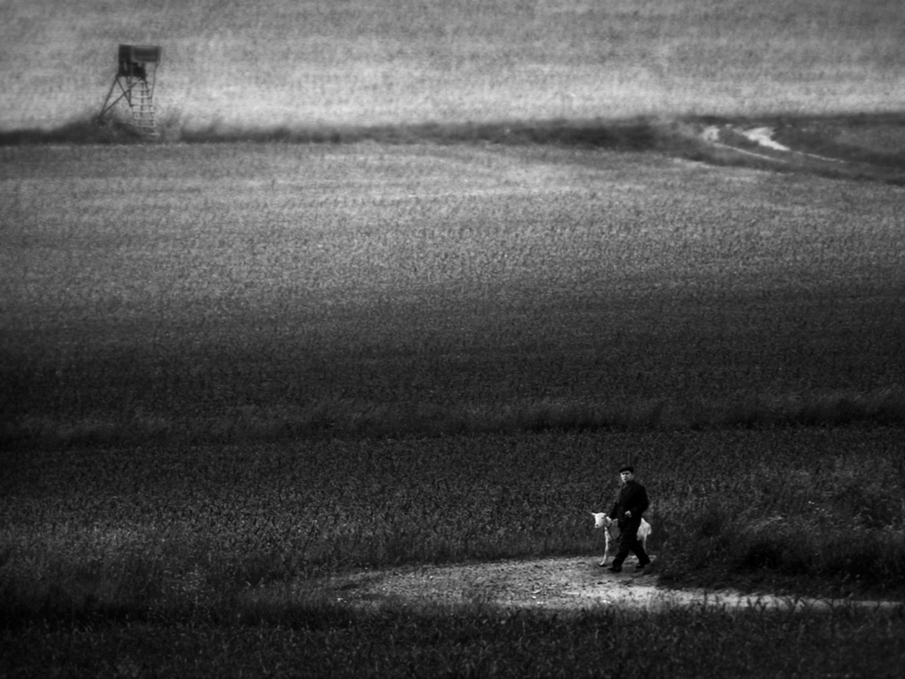 on the field von Holger Droste