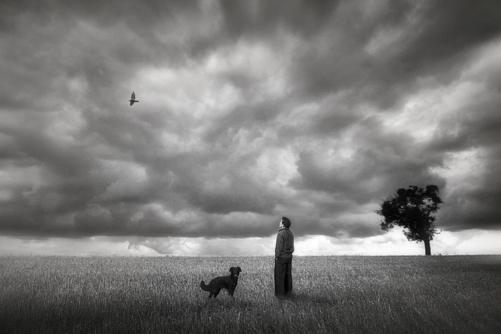 on the Field II von Holger Droste