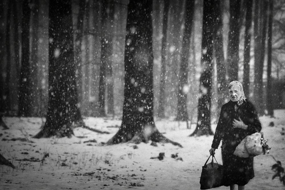 winter is coming von Holger Droste