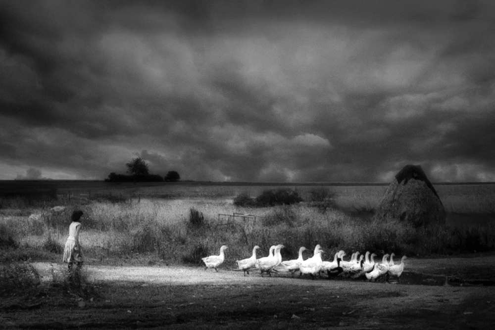 Sicily von Holger Droste