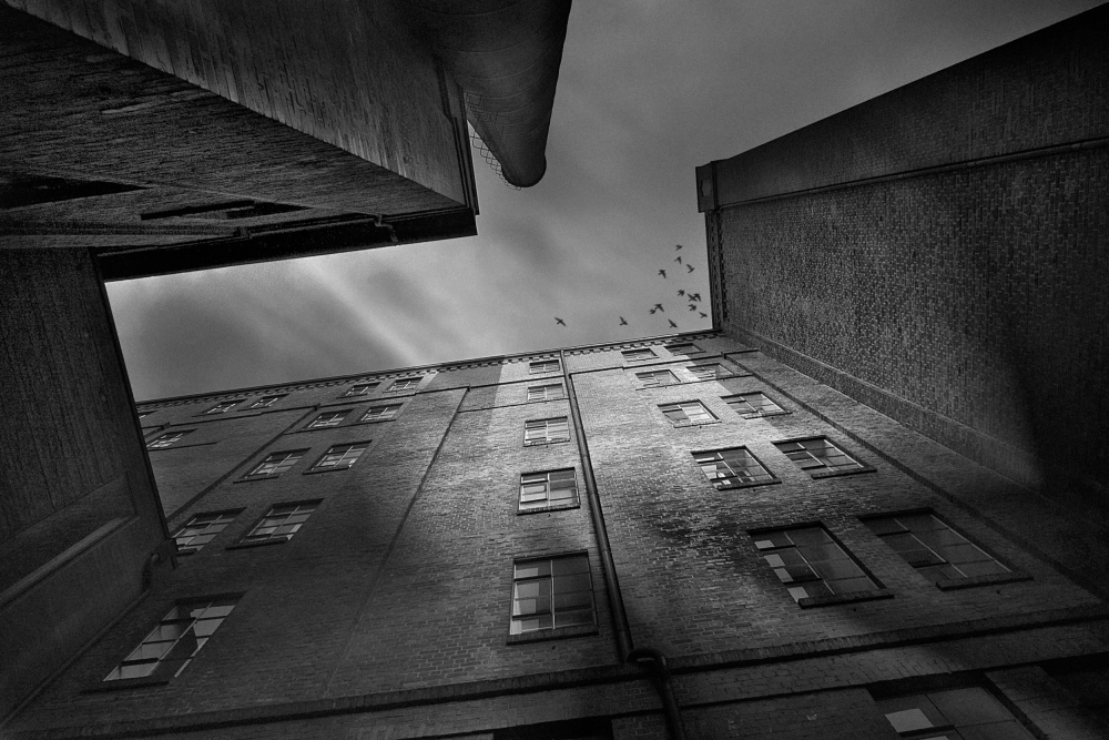 City of Shadow von Holger Droste