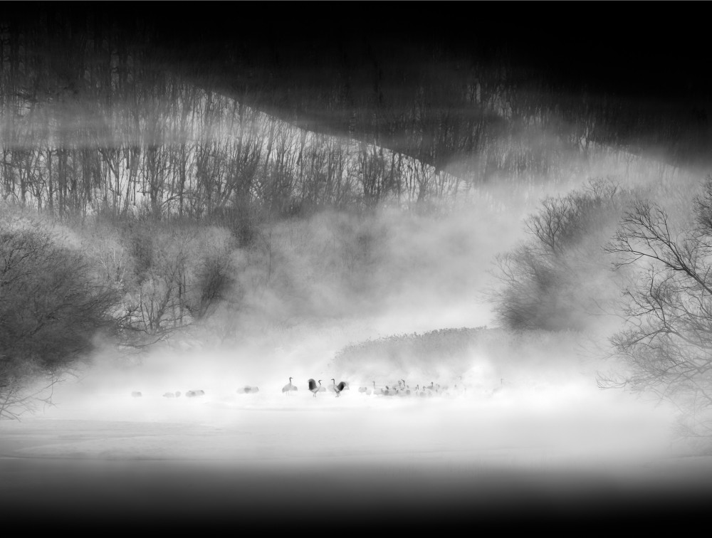 Morning Dance von Hong Chen