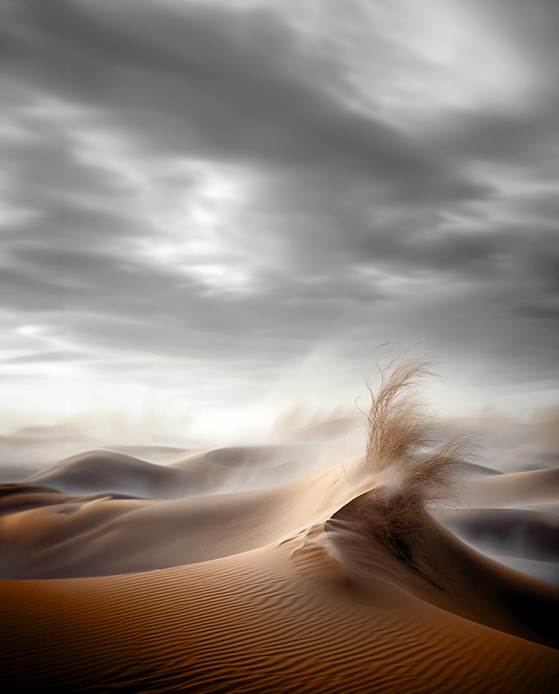 Desert Waves von Hosam.Karara