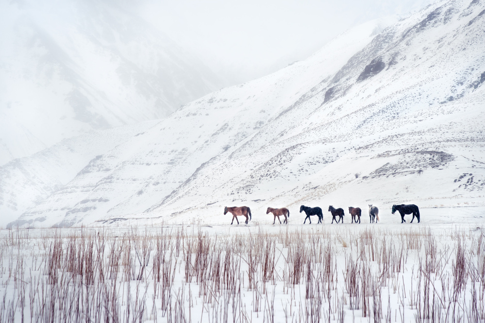 On a Cold Winters Day von Hosein Babaei