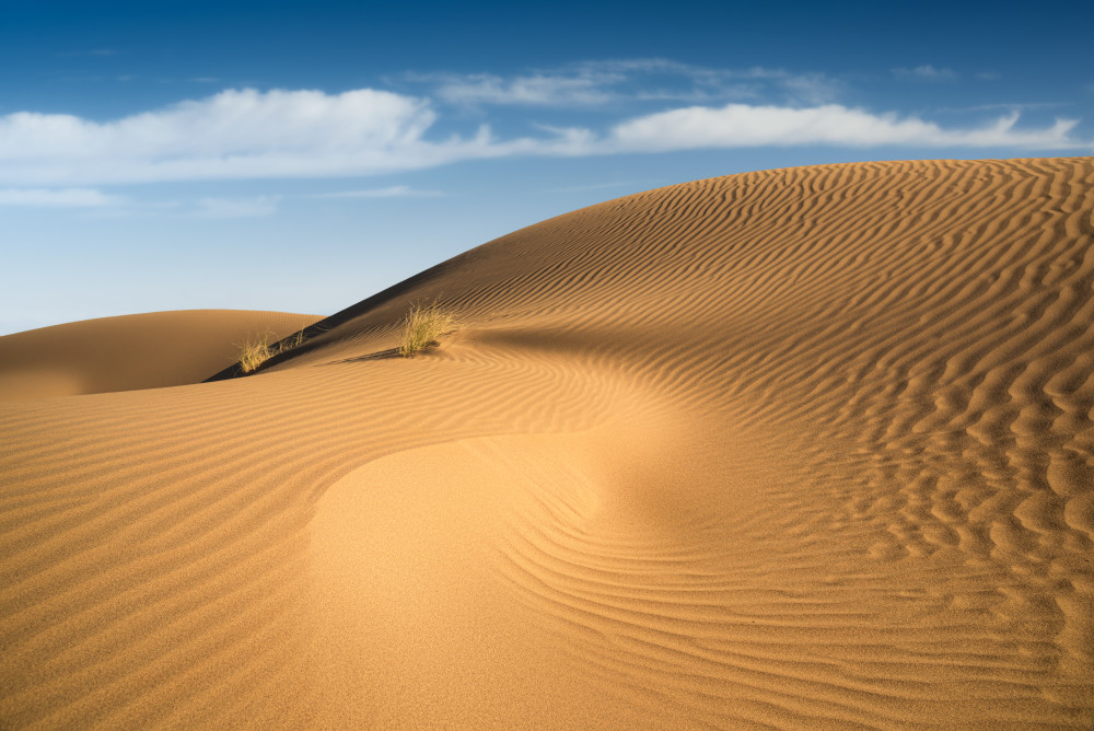 Curves von Hosein Babaei