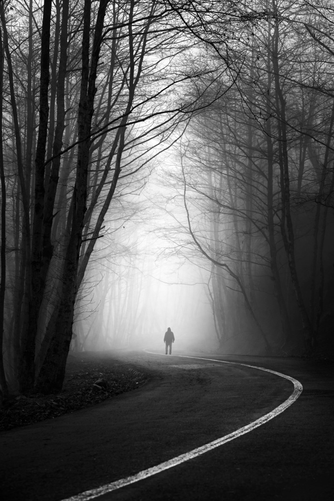 Fog von Hosein Babaei