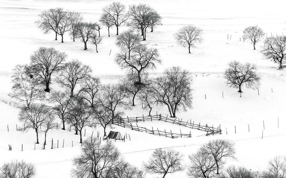 Bashang Winter von Hua Zhu