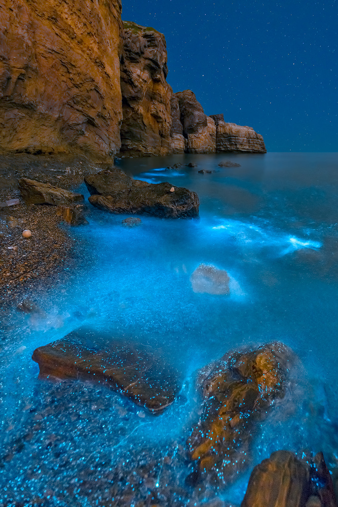 Bioluminescent Bay von Hua Zhu