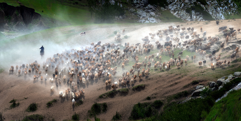 The great migration of Kazakh von Hua Zhu