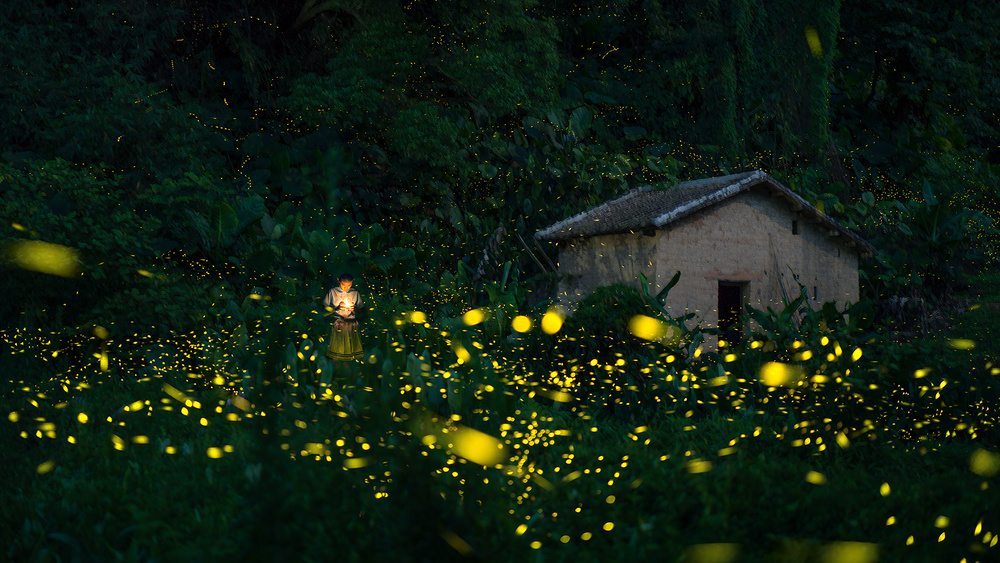 A little girl and firefly von Hua Zhu