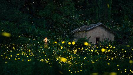 A little girl and firefly