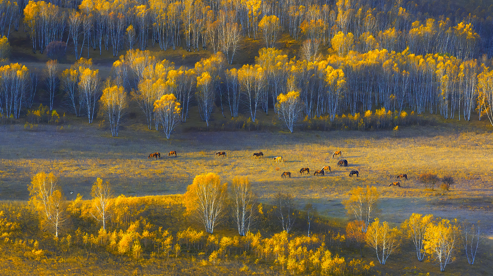 Fall serenity von Hua Zhu