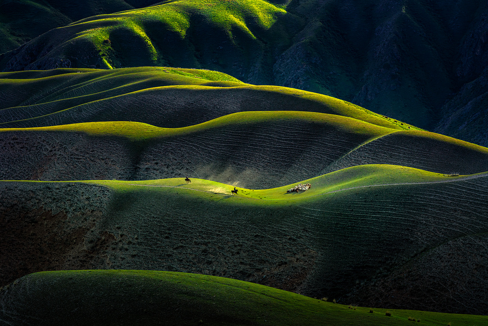 Joan Kushtai Grassland von Hua Zhu