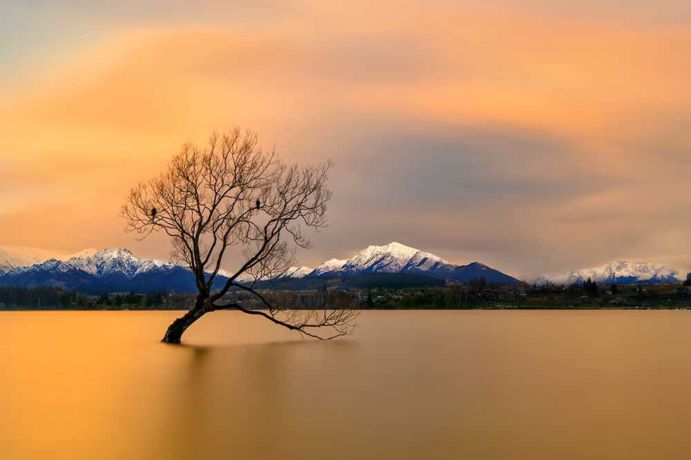 Morgenlicht des Lake Wanaka von Hua Zhu