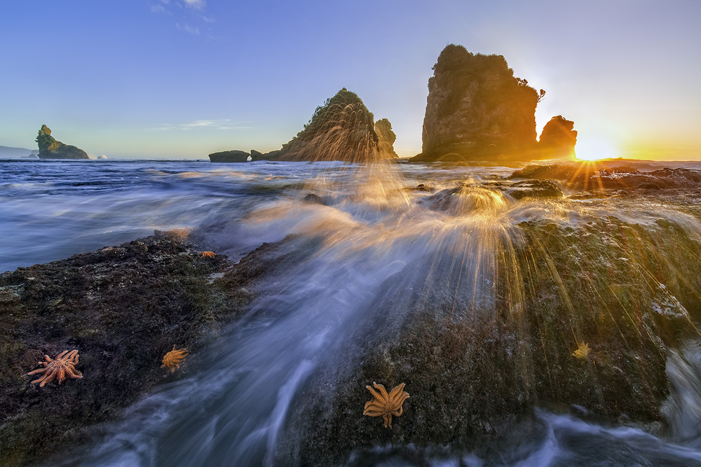 Starfish rocks von Hua Zhu