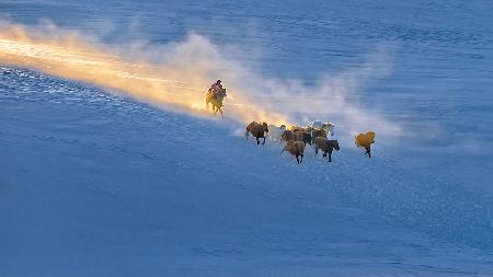 Winter sunset in Bashang