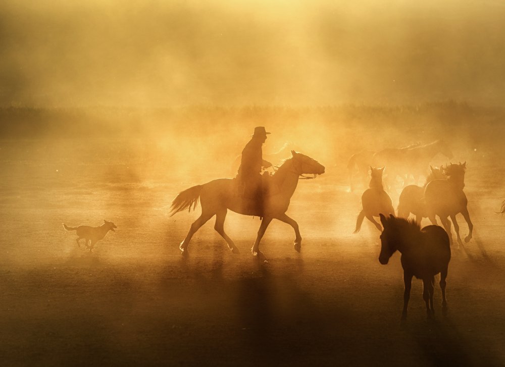 A Cowboy in Anatolia von Hüseyin Konak