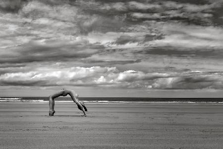 Roarie on the Beach