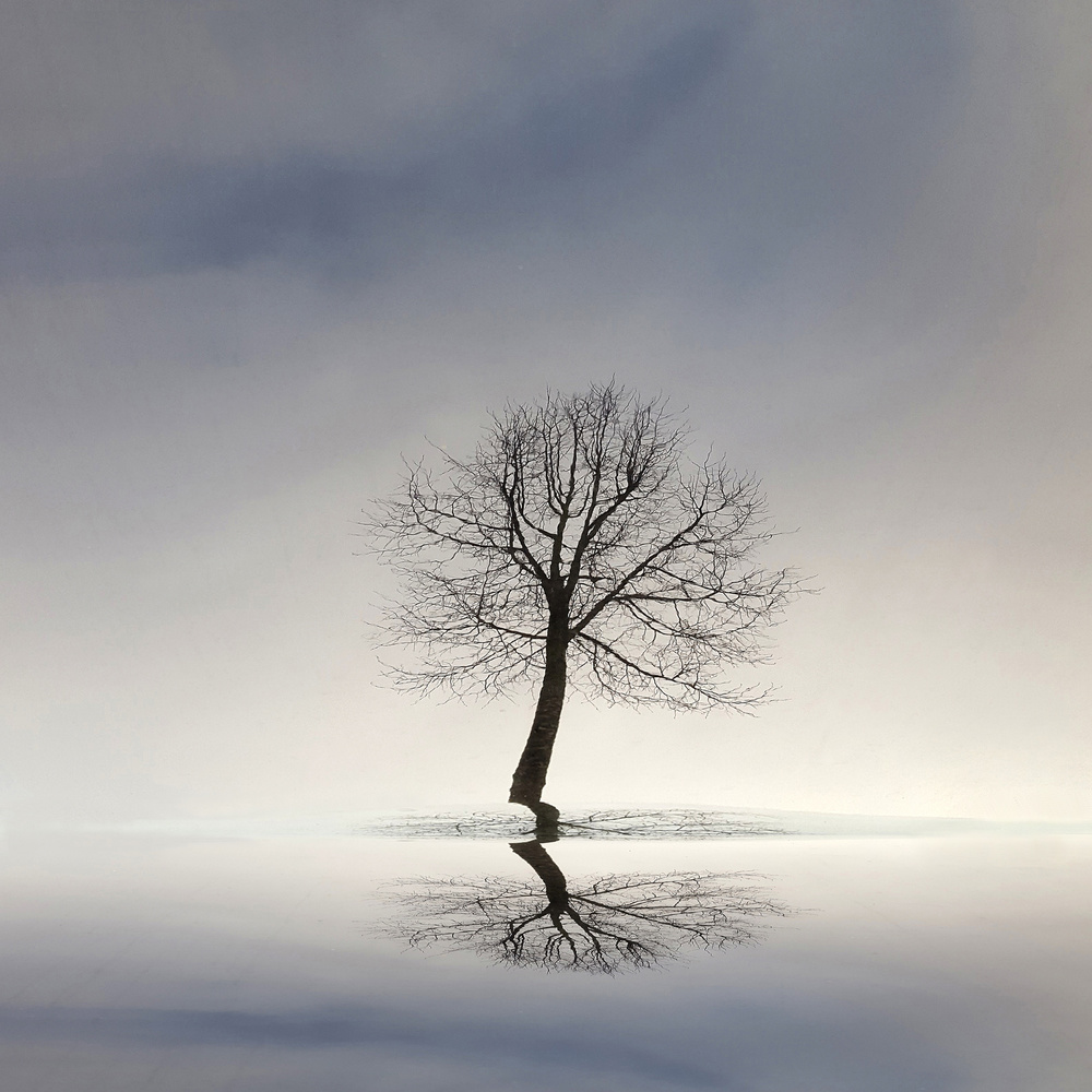 All alone with my reflection von Huib Limberg