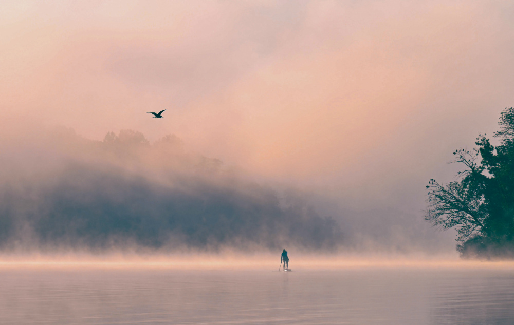 Morning Mist von Huizhen Zhao