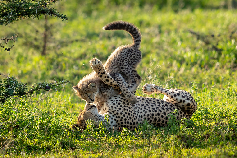 Happy moment von Hung Tsui