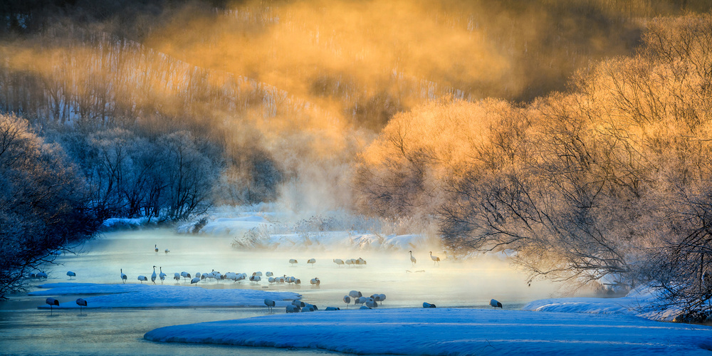 In the morning glow von Hung Tsui