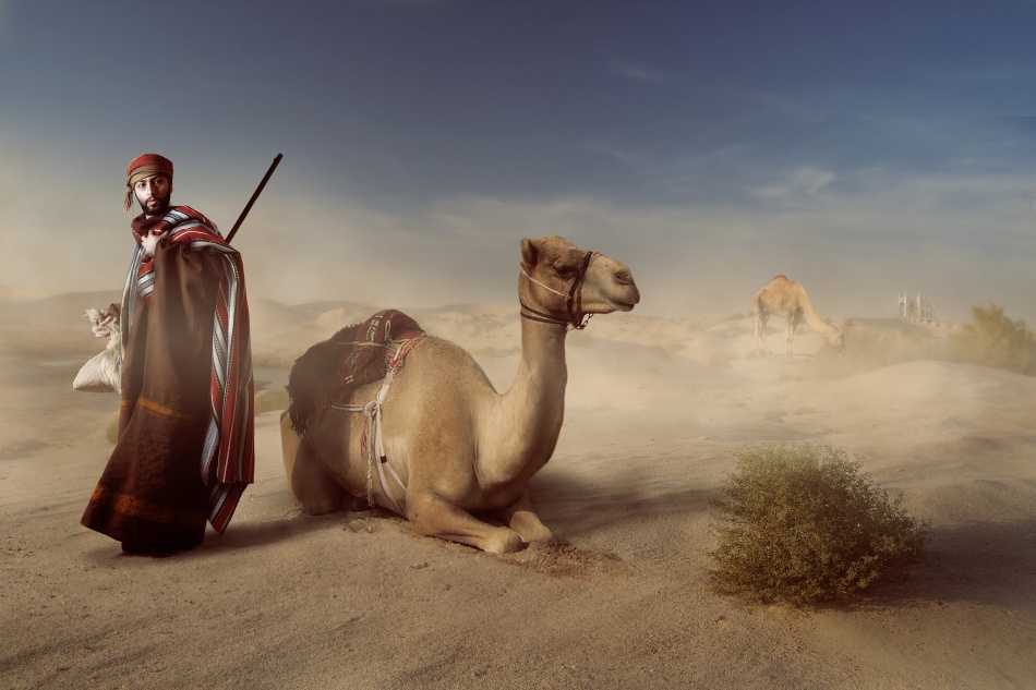 Life of the desert von Hussain Buhligaha